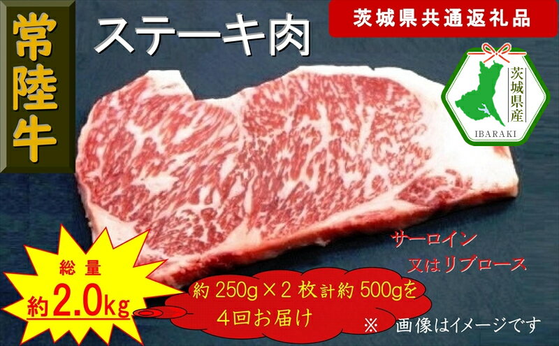 【ふるさと納税】【4か月定期便】【常陸牛】ステーキ用肉 約500g【定期便】計4回 総量約2,000g（茨城県共通返礼品）【常陸牛　茨城県産　日立市】