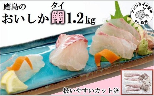 鷹島のおいしかタイ1.2kg( 鯛 お刺身 煮つけ 塩焼き 様々な料理 アラ付き )【B5-070】