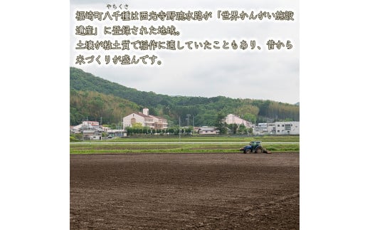 ＜新米予約＞令和7年度産 ヒノヒカリ 精米 八千種米 お米 10kg 白米 新米 米 ごはん 兵庫 兵庫県産 世界かんがい施設遺産登録『西光寺野疏水路』 お米 【2025年10月中旬より順次発送予定】