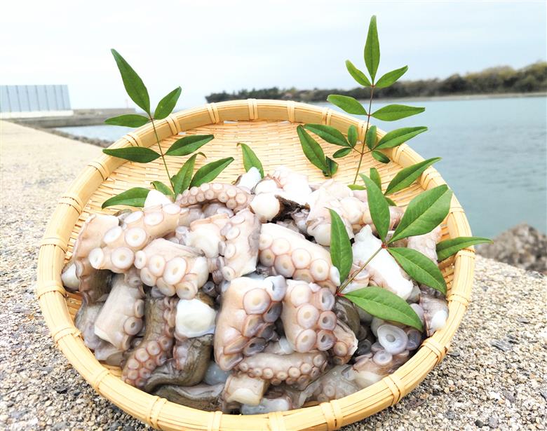 岬たこ 生たこ ぶつ切り 食べきりサイズ (200g×5袋) 修福丸ん タコ たこ 小分け 真空パック
