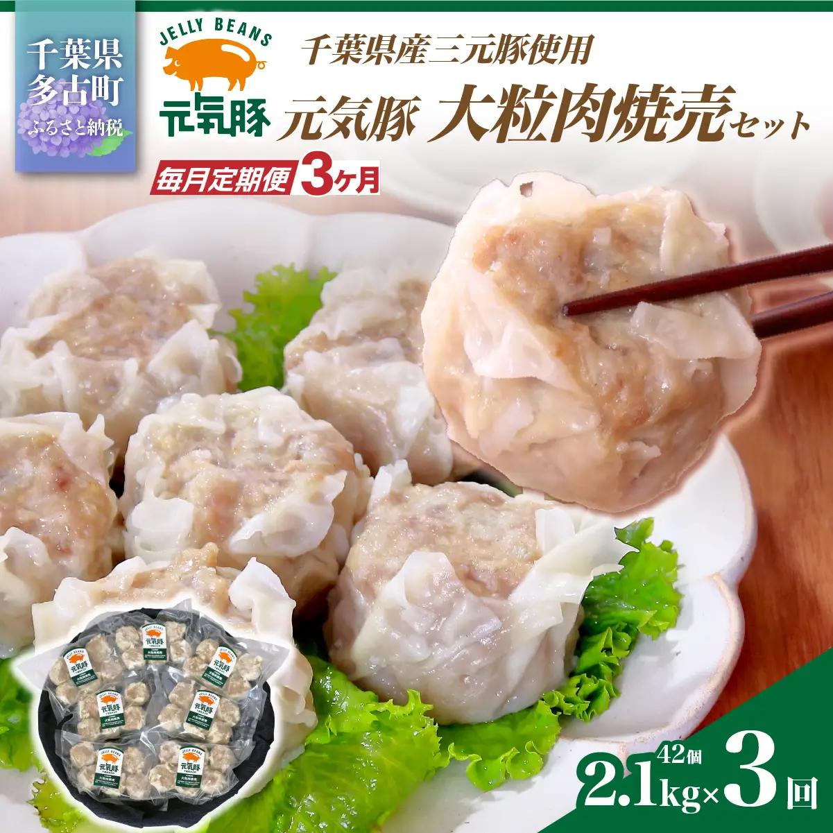 【毎月定期便】元気豚 大粒肉焼売セット 42個セット(計2.1kg)全3回_惣菜・加工品 シュウマイ    定期便 定期便  _【配送不可地域：離島・沖縄県】 mt203971_0642003