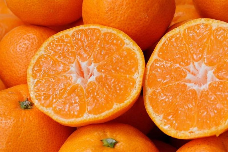 【2025年12月発送予約分】みかん こだわりの有田みかん 約10kg＋250g(傷み補償分) 光センサー選別 有機質肥料100% 家庭用 サイズ混合 | みかん ミカン 有田みかん 温州みかん ブラ