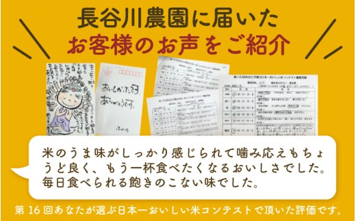 【先行予約】【令和8年産】定期便《3ヶ月連続お届け》精米 にこまる 5kg（計15kg）＜低農薬栽培＞ ／ 高品質 鮮度抜群 福井県 あわら市産 ブランド米 白米 お米 米 ※2026年10月中旬より