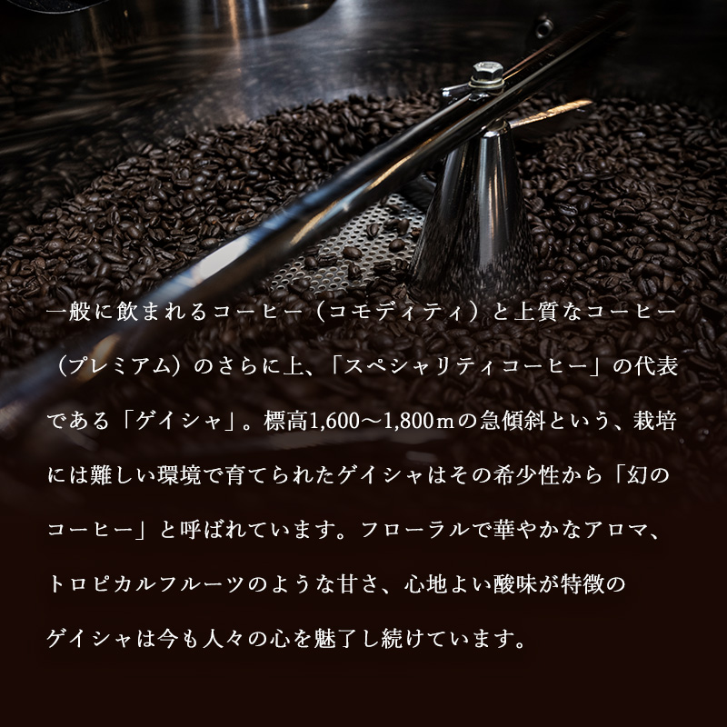 定期便 12ヶ月 自家焙煎 ゲイシャ (豆) 200g×2 ポスト投函 コーヒー 珈琲 12回 お楽しみ Morrow珈琲