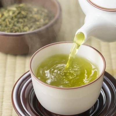 ふるさと納税 中間市 【発送月固定定期便】福岡銘茶八女茶　急須要らずのお手軽セット(中間市)全6回 |  | 01