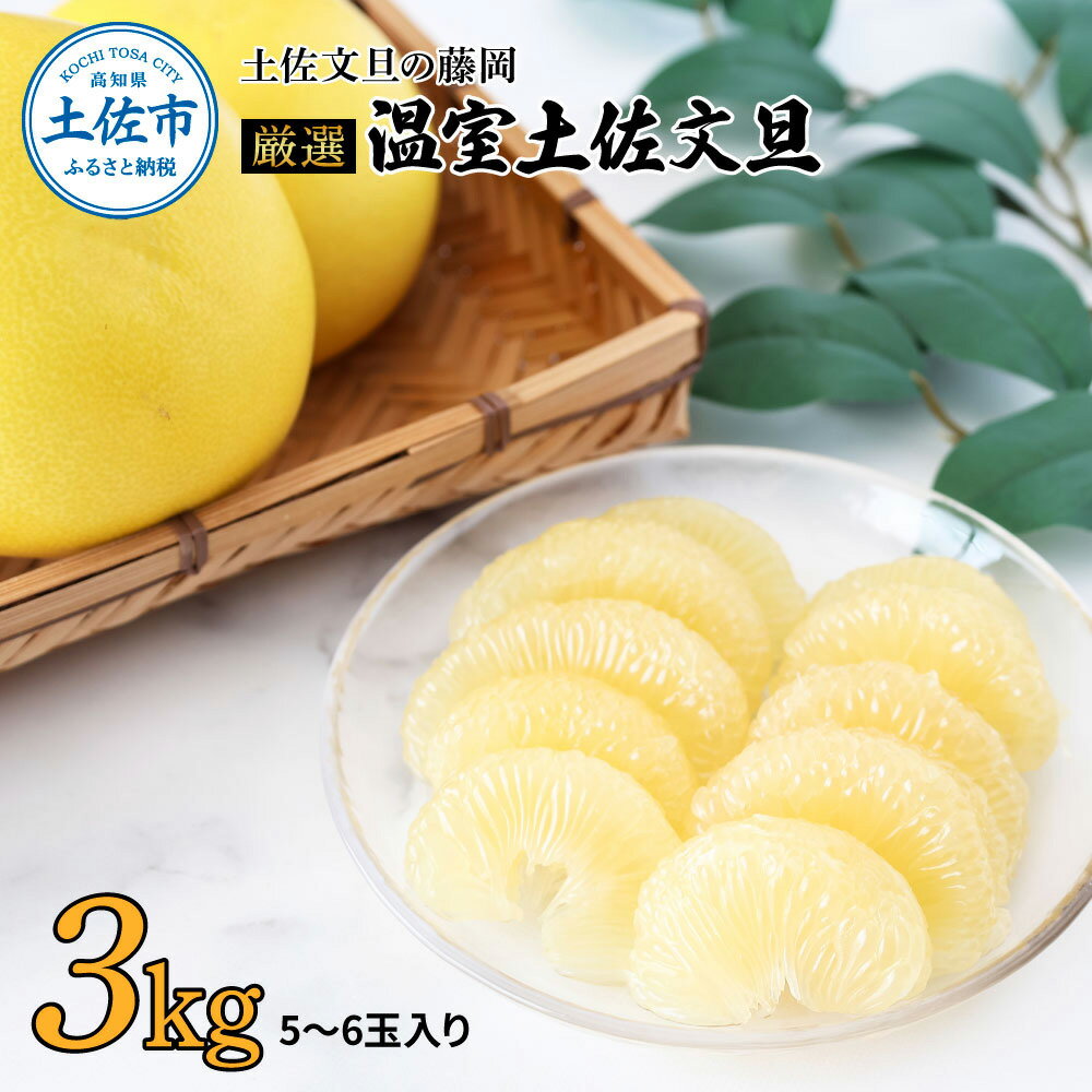 【ふるさと納税】＜土佐文旦の藤岡＞厳選 温室土佐文旦 3kg (5～6玉）文旦 ぶんたん ブンタン 土佐文旦 ハウス栽培 甘い 柑橘 フルーツ 果物 ご当地 お取り寄せ 産地直送3キロ 土佐 高知 ふるさとのうぜい 故郷納税 高知県 18000円 土佐市