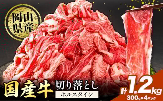 牛肉 肉 国産牛 切り落とし ホルスタイン 大容量 小分け1.2kg(300g×4) 《30日以内に出荷予定(土日祝除く)》岡山県産 岡山県 矢掛市 お肉 にく カレー 牛丼 牛肉 切り落し 小分け 切落し 牛肉 小分け 牛肉
