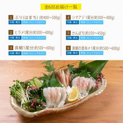 ふるさと納税 門川町 【毎月定期便】旬の鮮魚6ヶ月コース(門川町)全6回 |  | 02