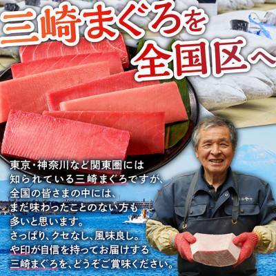 ふるさと納税 三浦市 【三崎港直送!】お手軽・かんたん!天然マグロ漬け×本格ねぎとろセット |  | 02