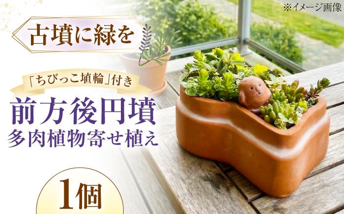 
                  多肉植物 寄せ植え 前方後円墳型 / 多肉植物 寄せ植え 鉢植え テラコッタ 埴輪カラー 園芸 ガーデニング 大阪府 / 大阪府藤井寺市/JamFlowerSalon [BLAW008]
                