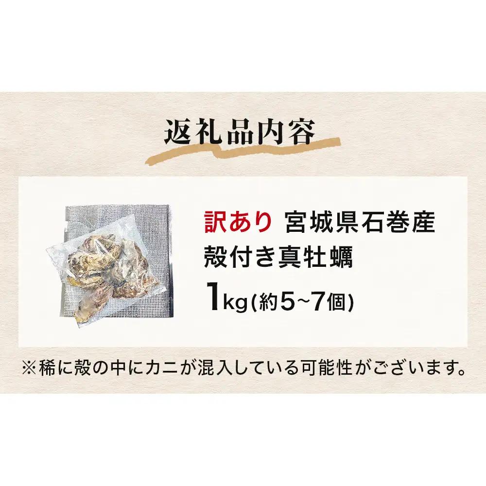 牡蠣 訳あり 宮城県産 無選別 1kg 加熱用 真牡蠣 かき カキ 貝 貝類 海産物 魚介類 海鮮 冷凍 宮城県 宮城 石巻市 石巻