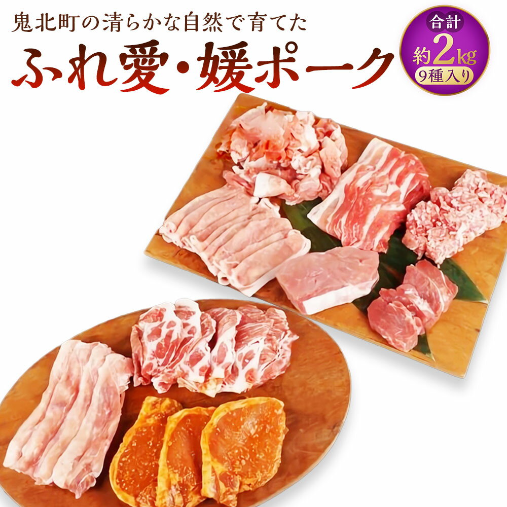 【ふるさと納税】鬼北町の清らかな自然で育てた ふれ愛・媛ポーク 9種 合計約2kg 豚ロース 豚ヒレ一口カツ 豚モモ 豚バラ こま切れ 豚肩ロース ひき肉 味噌漬け スライス ブロック 豚肉 豚 お肉 肉 冷凍 国産 愛媛県 送料無料（463）【えひめの町（超）推し！（鬼北町）】