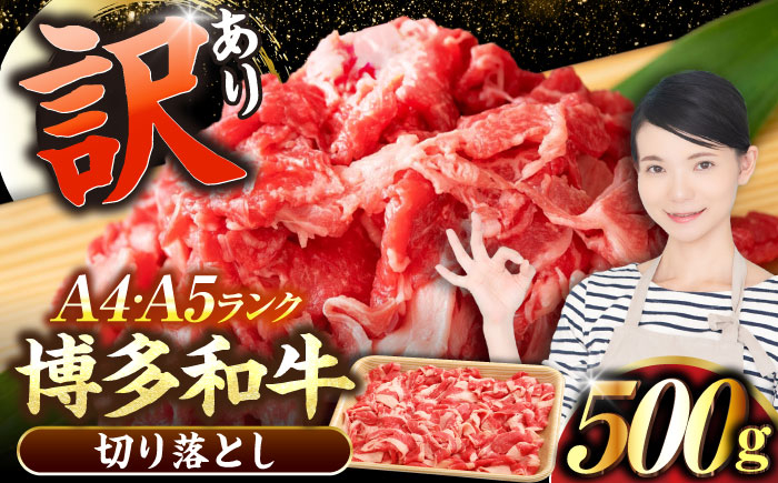
                  【訳あり】【A4〜A5】博多和牛 切り落とし 500g《豊前市》【株式会社木村食品】[VDZ002] 牛肉 ブランド牛 肉 切落し わけあり ぎゅうにく 訳あり ワケアリ にく 切り落とし きりおとし 小分け 冷凍 人気
                