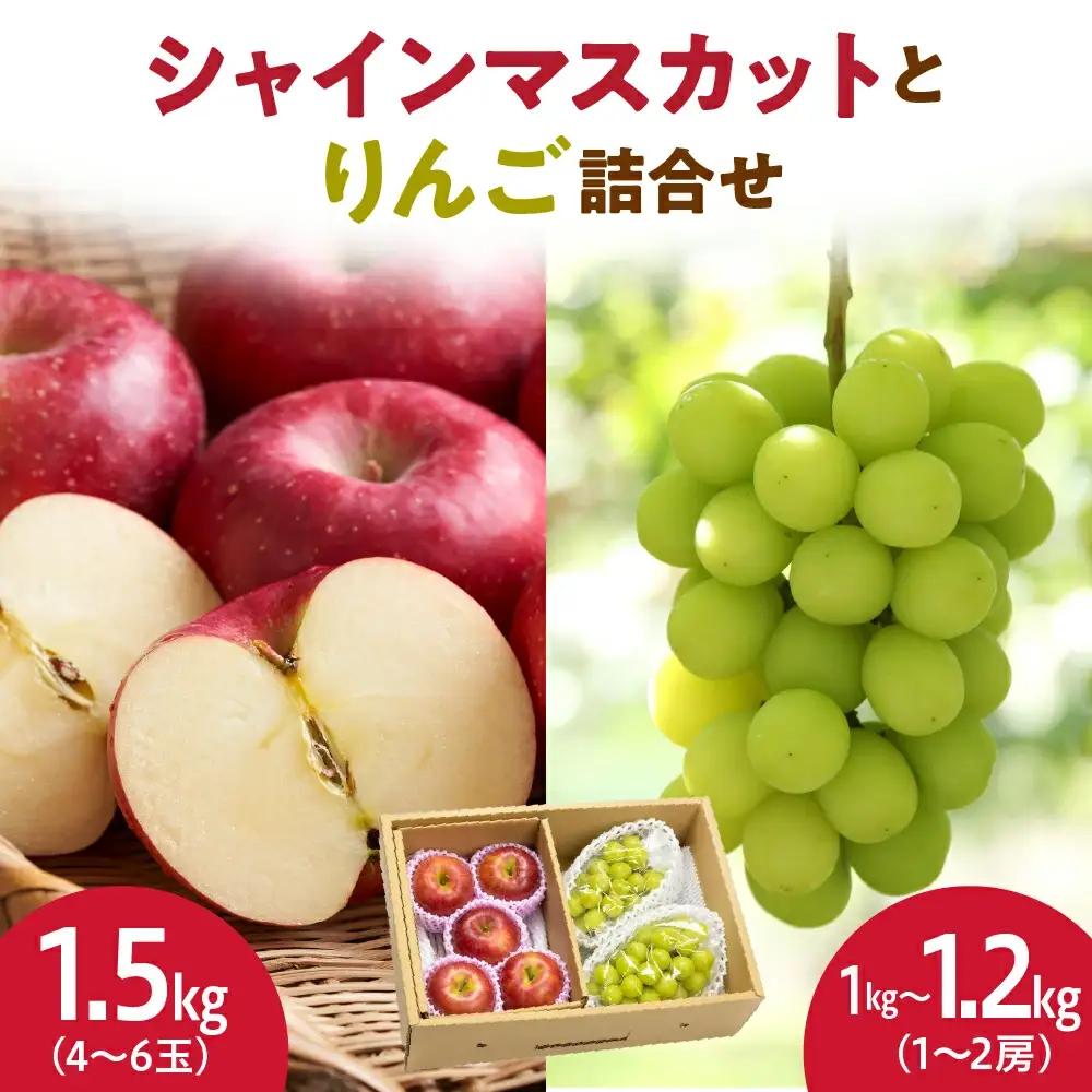 シャインマスカット と りんご 詰合せ 約 2.5kg 山形 りんご