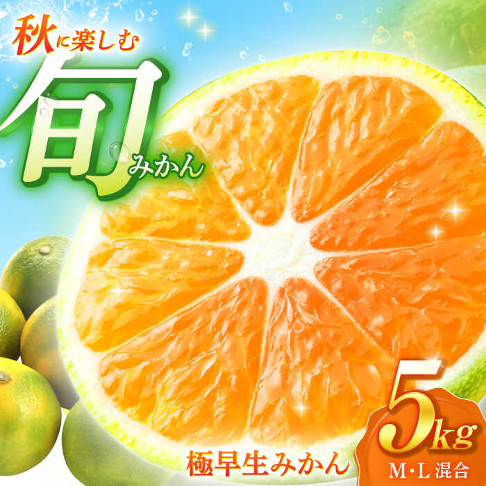 【ふるさと納税】【先行予約】さわやかな酸味！極早生みかん 5kg【瀧口ファーム】 [OCW001] / 薄皮みかん 果物 ビタミン 国産ミカン オレンジ フルーツ 果物 産地直送 カンキツ 秋みかん 柑橘 蜜柑 早生みかん 農園 ふるーつ おれんじ 家庭用 ファミリー用 くだもの さっぱり