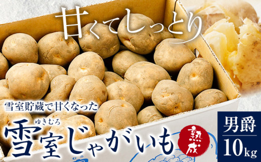 雪室じゃがいも10kg（男爵） 浦幌町農業協同組合 《3月上旬以降出荷出荷》北海道 浦幌町 じゃがいも ジャガイモ 男爵 じゃがバター フライドポテト コロッケ いも 芋 男爵芋 st-p