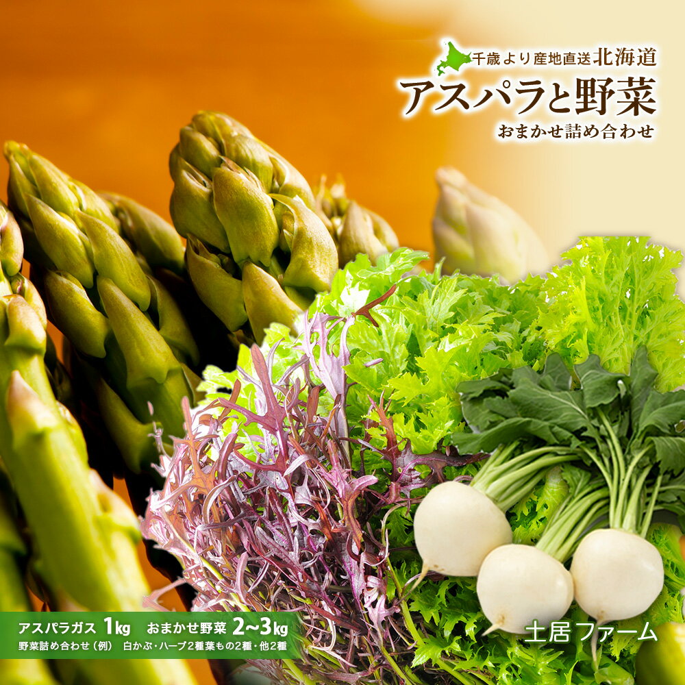 【ふるさと納税】2025年春発送 アスパラ1kgと野菜 おまかせ 詰め合わせセット【土居ファーム】 野菜 アスパラ アスパラガス グリーンアスパラ レタス キャベツ カブ ハーブ セット【北海道千歳市】ギフト ふるさと納税