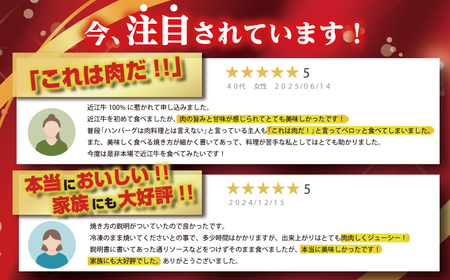ハンバーグ 近江牛 100% 生 プレミアム 1.2kg (約120g×10個) ブランド 牛肉 黒毛和牛 【 近江牛 】 FO19W
