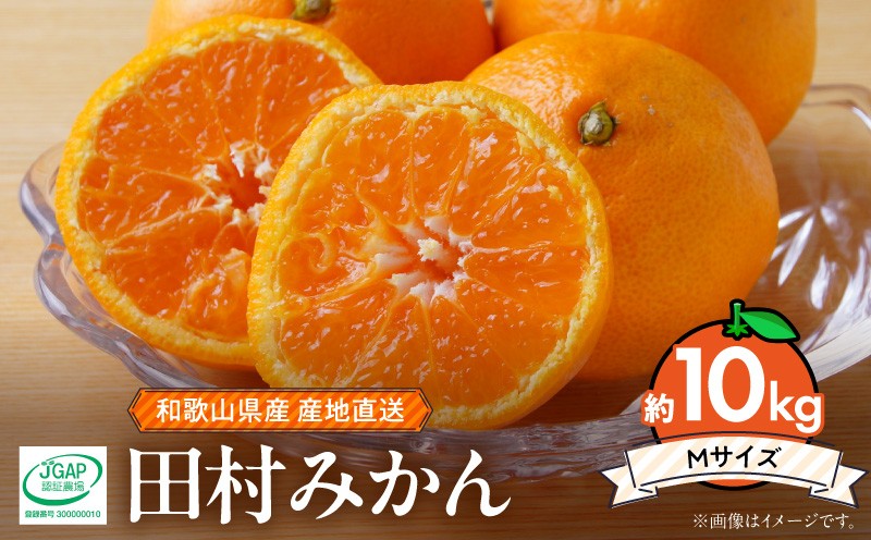 
                  【2026年先行予約】和歌山 湯浅町産 田村みかん 約10kg【Mサイズ】 ※着日指定不可_ZE6491
                