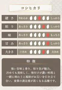 コシヒカリ 玄米 5kg（5kg×1）令和8年産 [095-a030] 