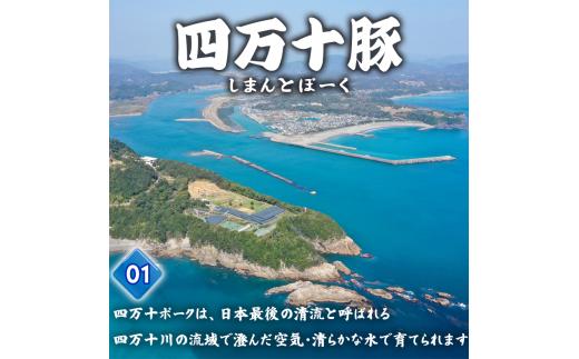 豚肉 とんかつ 960g 8人前 ブランド豚 四万十ポークカツ 豚カツ バーベキューソース付き 高知県 須崎市