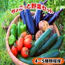 【ふるさと納税】ちょこっと野菜セット 　野菜セット おまかせ 詰合せ 旬の野菜 お試し 4～5種類 少量 高知県産