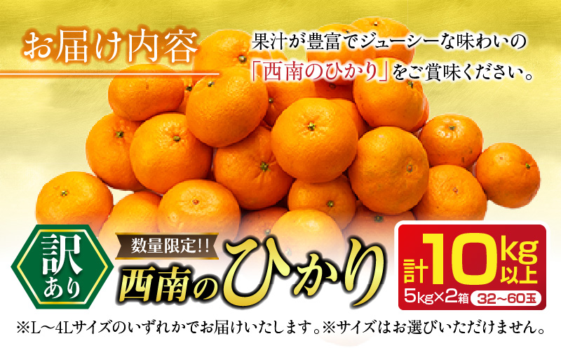 年内お届け 先行予約 訳あり 西南のひかり 計10kg 希少 期間限定 数量限定 みかん オレンジ フルーツ 果物 くだもの 柑橘 国産 食品 デザート おやつ みかんジュース フルーツサンド おすそ
