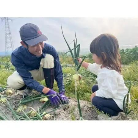 【農家直送】なるべく自然に近い環境で栽培した「季節のおまかせ野菜セット』(7～9品)【配送不可地域：離島】【1705543】