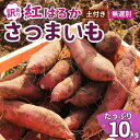 【ふるさと納税】【訳あり】無選別+土付きのさつまいも(紅はるか)10kg | 茨城県 龍ケ崎 サツマイモ 国産 おすすめ 人気 根野菜 べにはるか 紅はるか ホクホク 天ぷら 大学芋 お菓子作り 煮物 焼き芋 特産品 農家 産地直送 旬 訳あり 無選別 いも 芋 土付き 泥付き つち付き