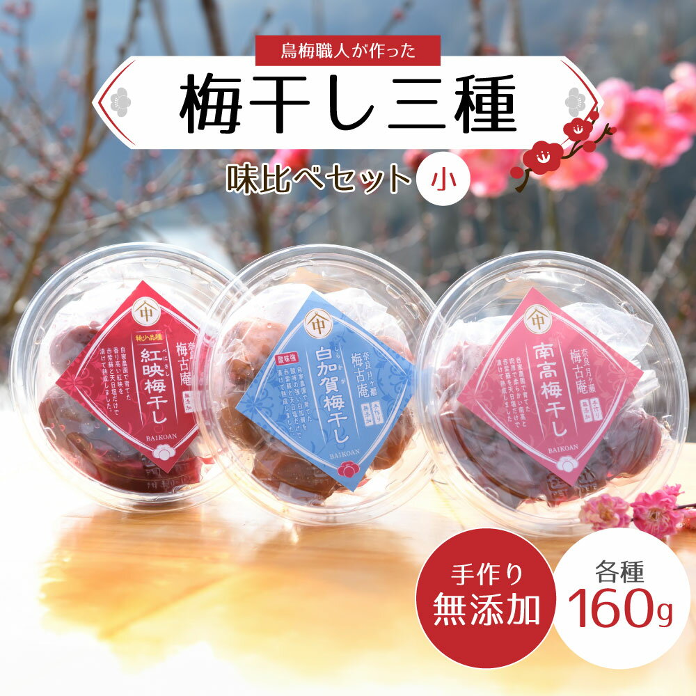 【ふるさと納税】梅干し三種味比べセット（小）無添加 梅古庵 奈良県 奈良市 なら 8-004