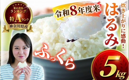 
                  新米 先行予約 特Aランク 米 はるみ 5kg こめ 令和8年度産 甘い ツヤ キヌヒカリ コシヒカリ こしひかり しんまい kome ※ お米 白米 ご飯 ごはん 弁当 お弁当 おにぎり はくまい 精米 ブランド米 農家直送 数量限定 産地直送 藤沢洋蘭 神奈川 湘南 藤沢
                