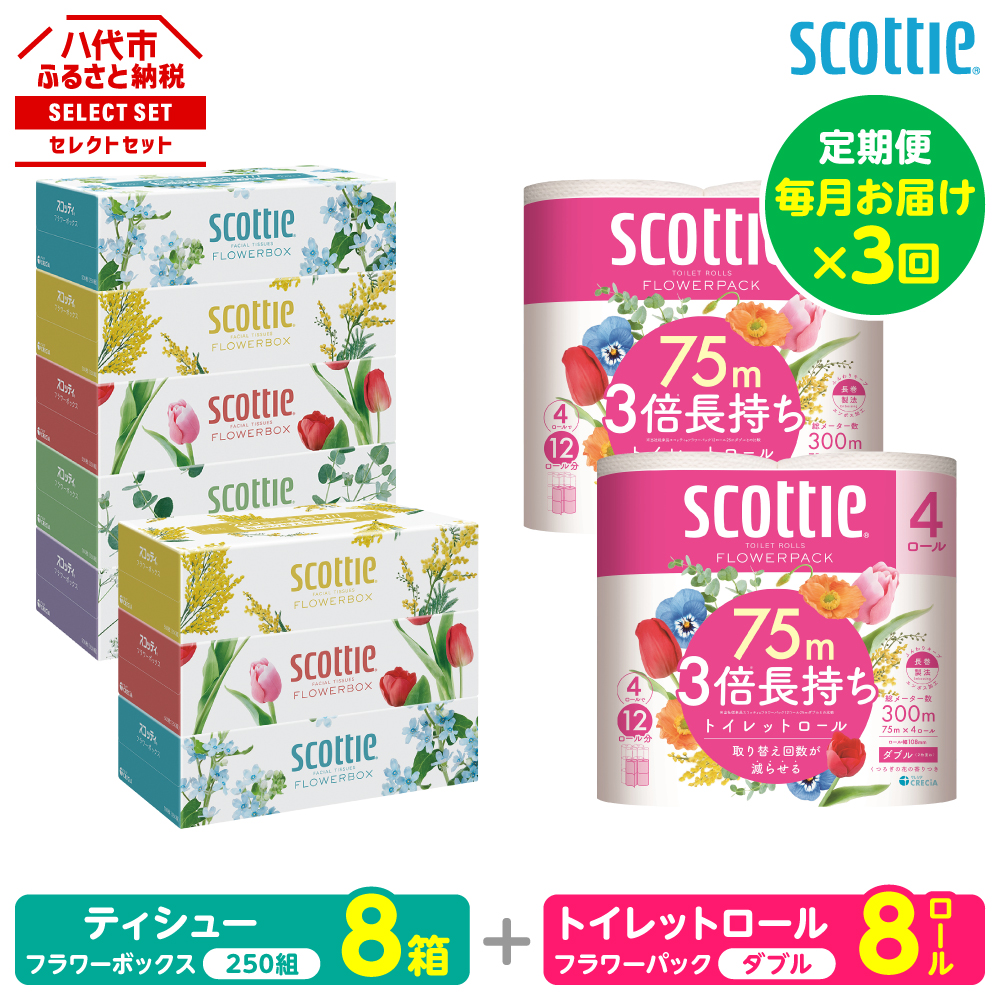 【定期便3回】【毎月お届け】【スコッティ】 組み合わせ ティシュー フラワーボックス 250組 8箱 計24箱 トイレットロール ダブル フラワーパック 3倍長持ち 8ロール 計24ロール 日用品