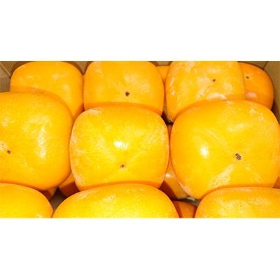 ふるさと納税 佐渡市 秋の味覚 佐渡産 おけさ柿 36〜40個入り |  | 02