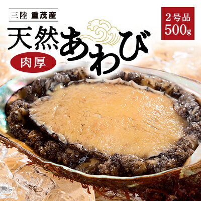 【ふるさと納税】【三陸重茂産】天然　蝦夷あわび(2号品)500g(冷凍)【配送不可地域：離島】【1519984】