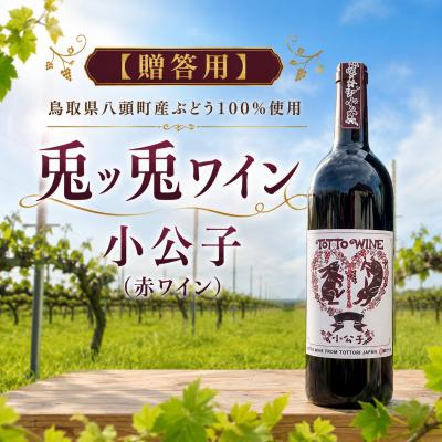 ふるさと納税 八頭町 【贈答用】八頭町産ぶどう100%使用|兎ッ兎ワイン|小公子(赤ワイン)