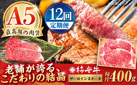 【12回定期便】サーロインステーキ 400g 和牛サーロインステーキ AMBW023 和牛サーロインステーキ 和牛サーロインステーキ 和牛サーロインステーキ 和牛サーロインステーキ 和牛サーロインステーキ