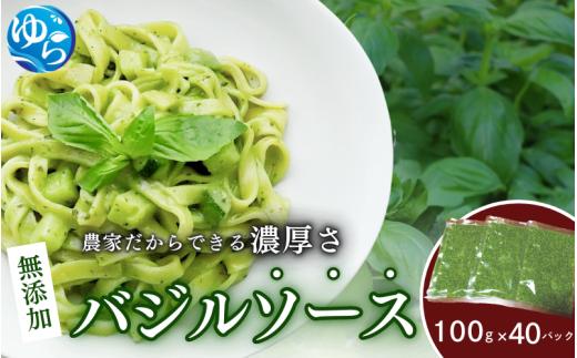 
お得なパック入り40袋　農家だからできる濃厚『 バジルソース　ジェノベーゼ』
