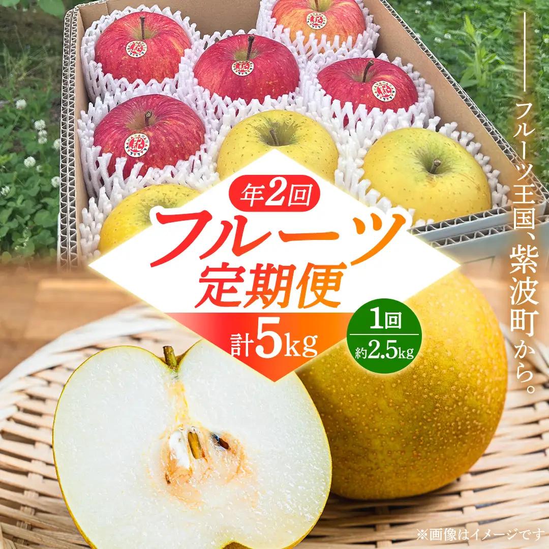 フルーツ 定期便【年2回】計 5kg（各約2.5kg） (FB001)