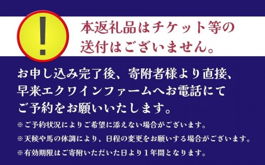 乗馬体験（ひき馬）1回分 北海道安平町 早来エクワインファーム