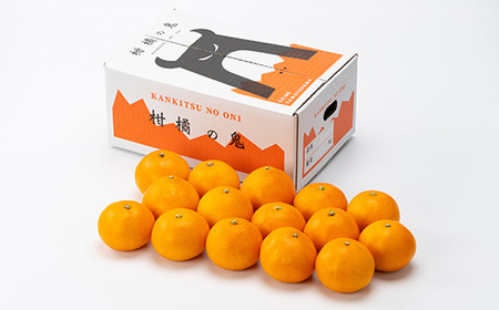 柑橘の鬼たちがつくる八幡浜産・鬼 マドンナ (2.7kg～3.0kg)[ 傷あり ]【E56-33】【配送不可地域：離島・北海道・沖縄県】【1360891】