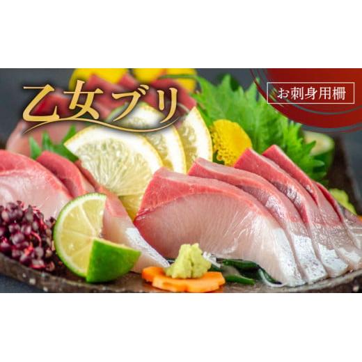 乙女ブリ 800 ~ 1000 g 新鮮 ブランド 鰤 ぶり しゃぶ ぶり 刺身 高知県 須崎市 高知 鰤 年末 正月 新鮮 鮮魚 魚（ 下処理有 ）KS0321-x