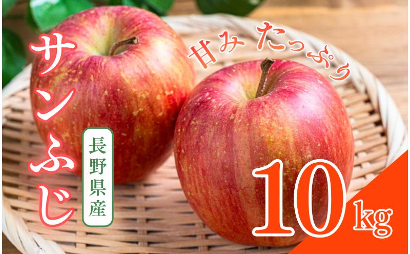 サンふじ　10kg　りんご リンゴ 林檎 果物 フルーツ 長野