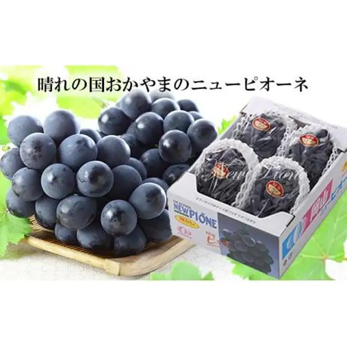 ニュー　ピオーネ 約2kg 3～6房 ｜ ピオーネ