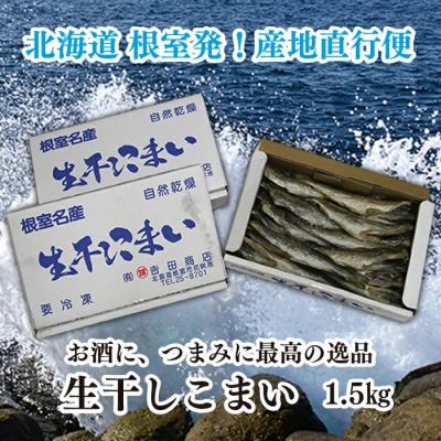 ふるさと納税 根室市 【12/15まで年内配送】★生干しこまい500g×3箱 A-35020