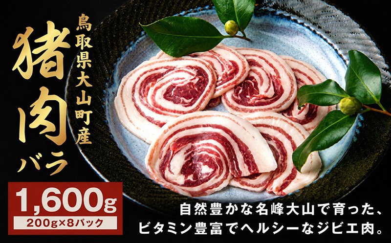 
                  GB-08　猪肉バラ 1.6kg
                