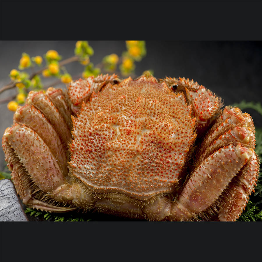 ＜加藤水産＞ボイル毛蟹（北海道）800ｇ×1尾