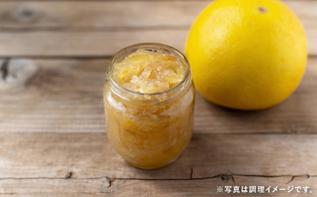 土佐文旦 5kg 家庭用 文旦