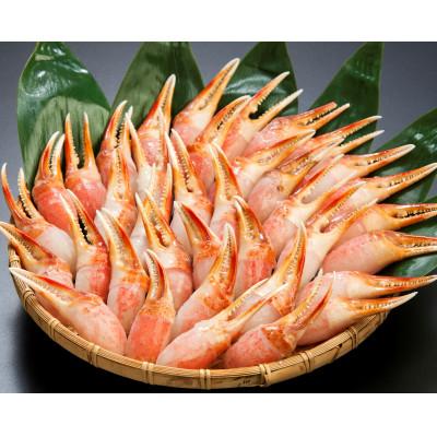 ふるさと納税 小清水町 お刺身もできる!生冷ずわい蟹爪　約1kg