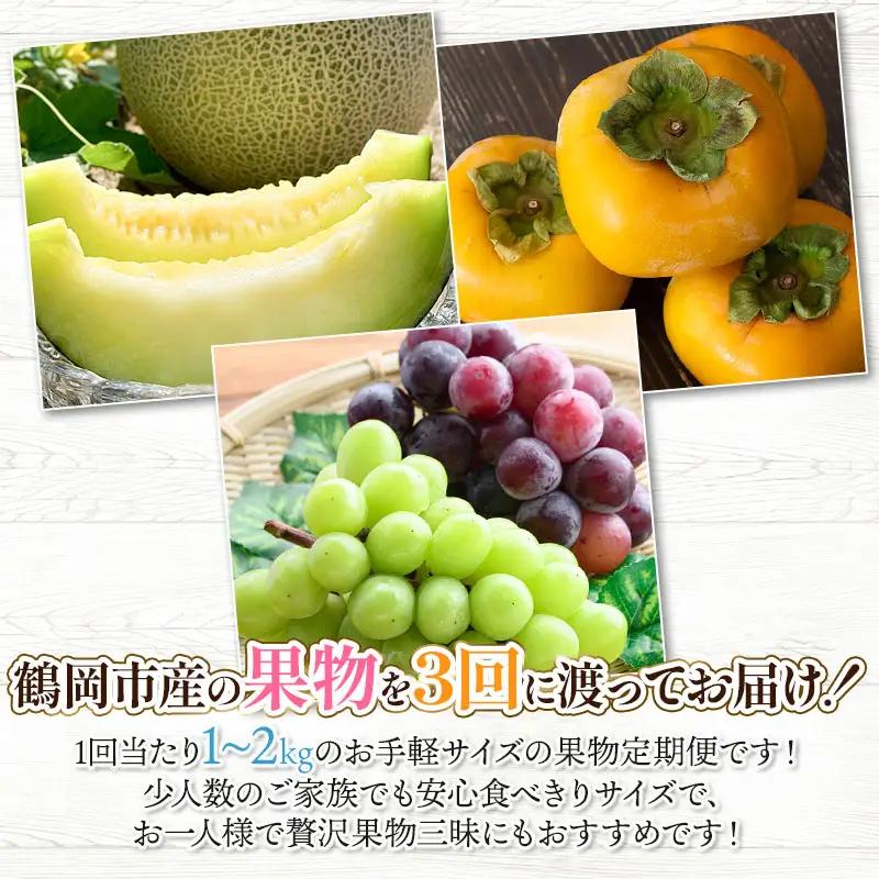 【令和8年産先行予約】鶴岡食べきりフルーツ定期便（3回お届け）　庄内砂丘メロン・シャインマスカット＆ピオーネ・庄内柿 山形県 鶴岡市