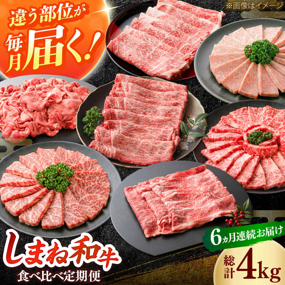 【ふるさと納税】【全6回定期便】島根和牛プレミアセット 和牛 牛肉 定期便 肉 焼肉 すき焼き / 島根県雲南市 / フジキコーポレーション株式会社[AIEA013]